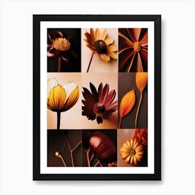 Autumn Flowers, Autumn Collection 2 Art Print