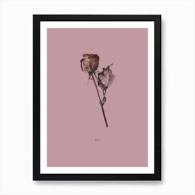 Botanico III Art Print