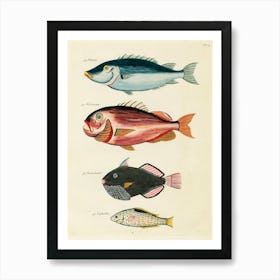 Colourful And Surreal Illustrations Of Fishes Found In Moluccas (Indonesia) And The East Indies, Louis Renard(25) Art Print