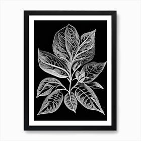 Salal Leaf Linocut 1 Art Print