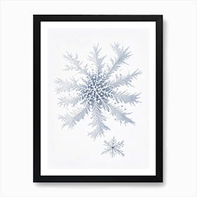 Fernlike Stellar Dendrites, Snowflakes, Pencil Illustration 4 Art Print