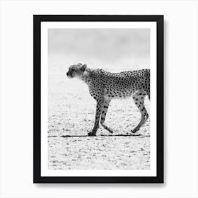 Cheetah Art Print