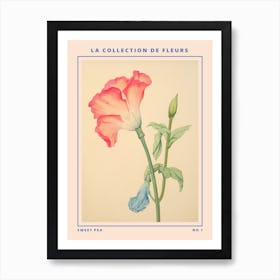 Sweet Pea French Flower Botanical Poster Art Print