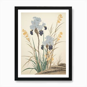Ayame Japanese Iris 3 Vintage Botanical Woodblock Art Print