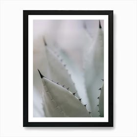 Agave Botanical minimal art Art Print