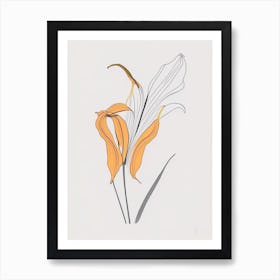 Tiger Lily Floral Minimal Line Drawing 3 Flower Art Print