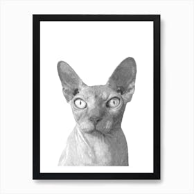 Black and White Sphynx Cat Watercolor Art Print