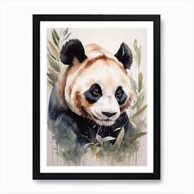 Panda Bear 4 Art Print