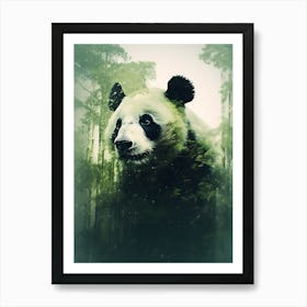 Panda Bear In The Forest Art Print