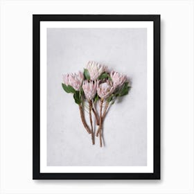 Pink Protea Bouquet Art Print