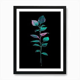 Leaf On A Black Background 1 Art Print