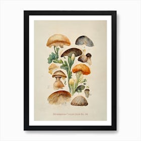 Mushroom Collection 04 Art Print