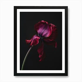 Poster Red Beauty 5 Art Print