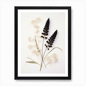 Pressed Wildflower Botanical Art Black Cohosh 3 Art Print