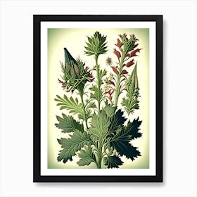 Spikenard Herb Vintage Botanical Art Print