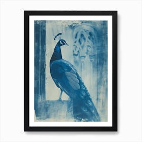 Peacock In A Church Abbey Cyanotype Inspired 2 Art Print