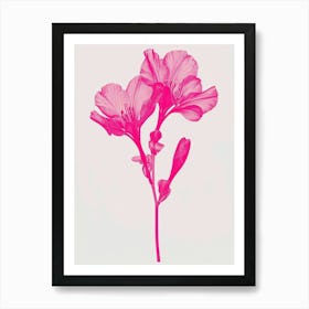 Hot Pink Freesia 1 Art Print