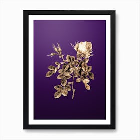 Gold Botanical Dwarf Damask Rose on Royal Purple n.2827 Art Print