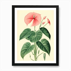 Anthurium Art Print