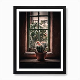 Hedgehog Cactus Window 2 Art Print