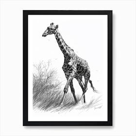 Giraffe In The Grass Pencil Drawing 3 Art Print