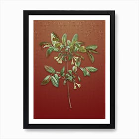 Vintage Honeyberry Flower Botanical on Falu Red Pattern n.0977 Art Print