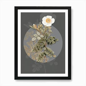 Vintage Botanical Macartney Rose on Circle Gray on Gray n.0244 Art Print