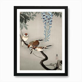 Ring Sparrows At Wisteria (1900 1936), Ohara Koson Art Print