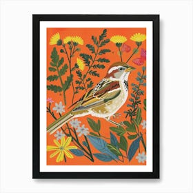 Spring Birds Sparrow 3 Art Print