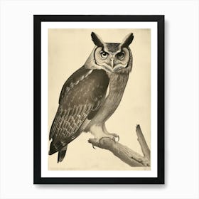 Philipine Eagle Owl Vintage Illustration 1 Art Print