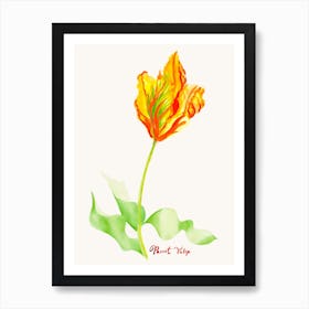 Parrot Tulip Painting 2 Art Print