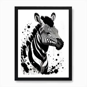 Zebra Art Print