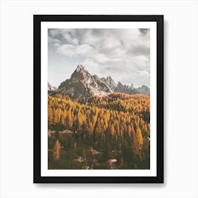 Autumn Mountain Trees Art Print