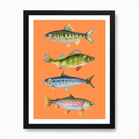 Fishes On A Orange Background Print Art Print