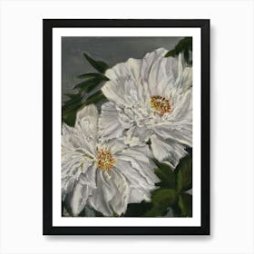 White peonies, acrylic Art Print