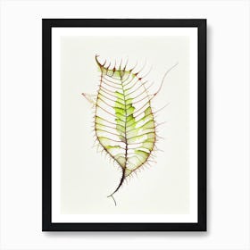 Venus Flytrap Leaf Minimalist Watercolour 2 Art Print