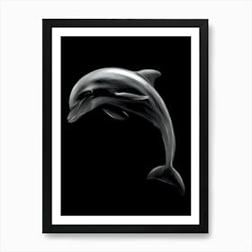 Dolphin On Black Background Art Print