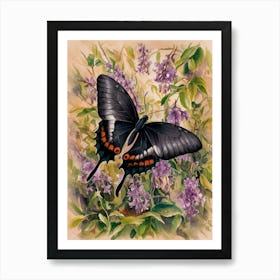 Black Swallowtail Butterfly Art Print