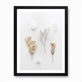 Stones And Branches 3 Art Print