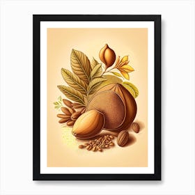 Nutmeg Spices And Herbs Retro Drawing 1 Art Print