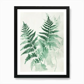 Green Ink Painting Of A Netted Chain Fern 4 Art Print