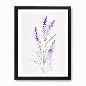 Lavender Herb Minimalist Watercolour 1 Art Print