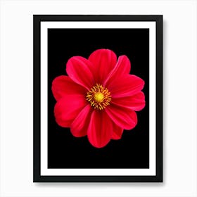 Red Dahlia Flower Art Print