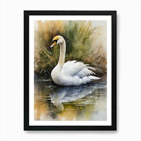 Calm Bewick S Swan Art Print