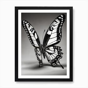 Butterfly 1 Art Print