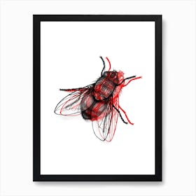 Fly Red Art Print
