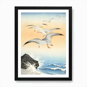 Seagulls Flying Over The Ocean Art Print