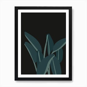 Bird Of Paradise Art Print