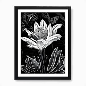 Bloodroot Leaf Linocut 2 Art Print