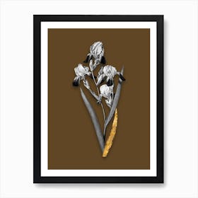 Vintage Elder Scented Iris Black and White Gold Leaf Floral Art on Coffee Brown n.0686 Art Print